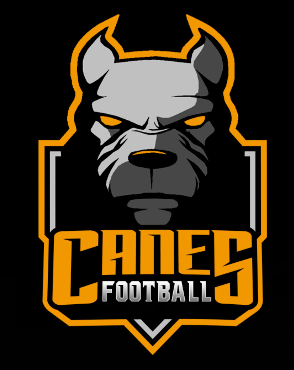Canes American Football